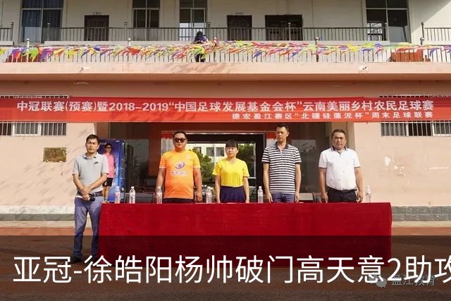 亚冠-徐皓阳杨帅破门高天意2助攻 申花2-1淡滨尼流浪者