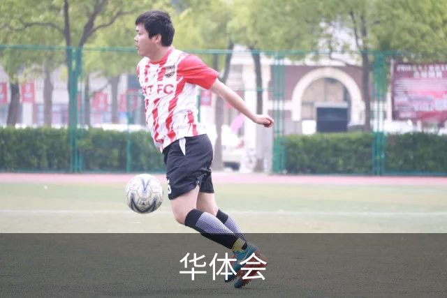 关于华体会